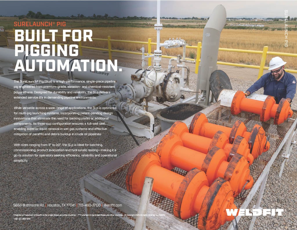 SureLaunch pig flyer v2 jpeg